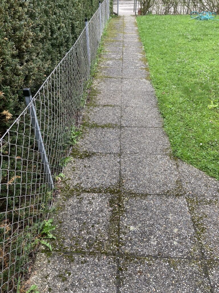 Stark verschmutzte Waschbetonplatten mit Moosbewuchs